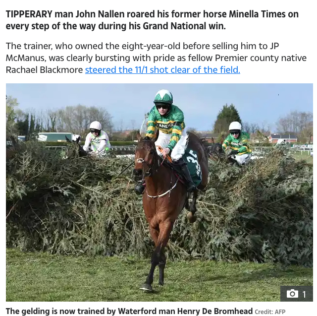 Aintree Grand National Winner.png
